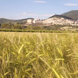 Domus Benedicta Assisi