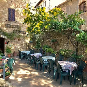 Berti Assisi